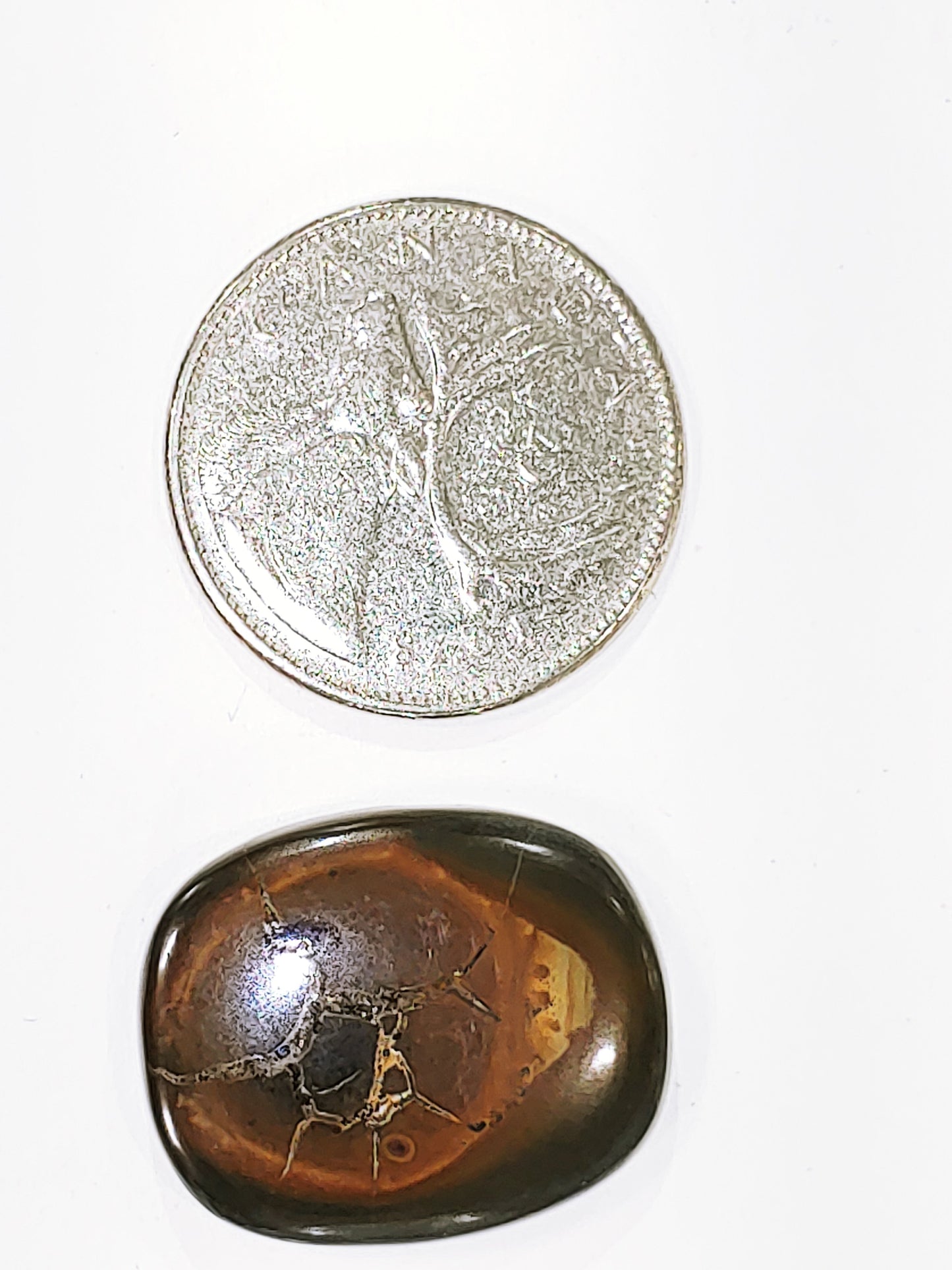 Septarian - Cabochon