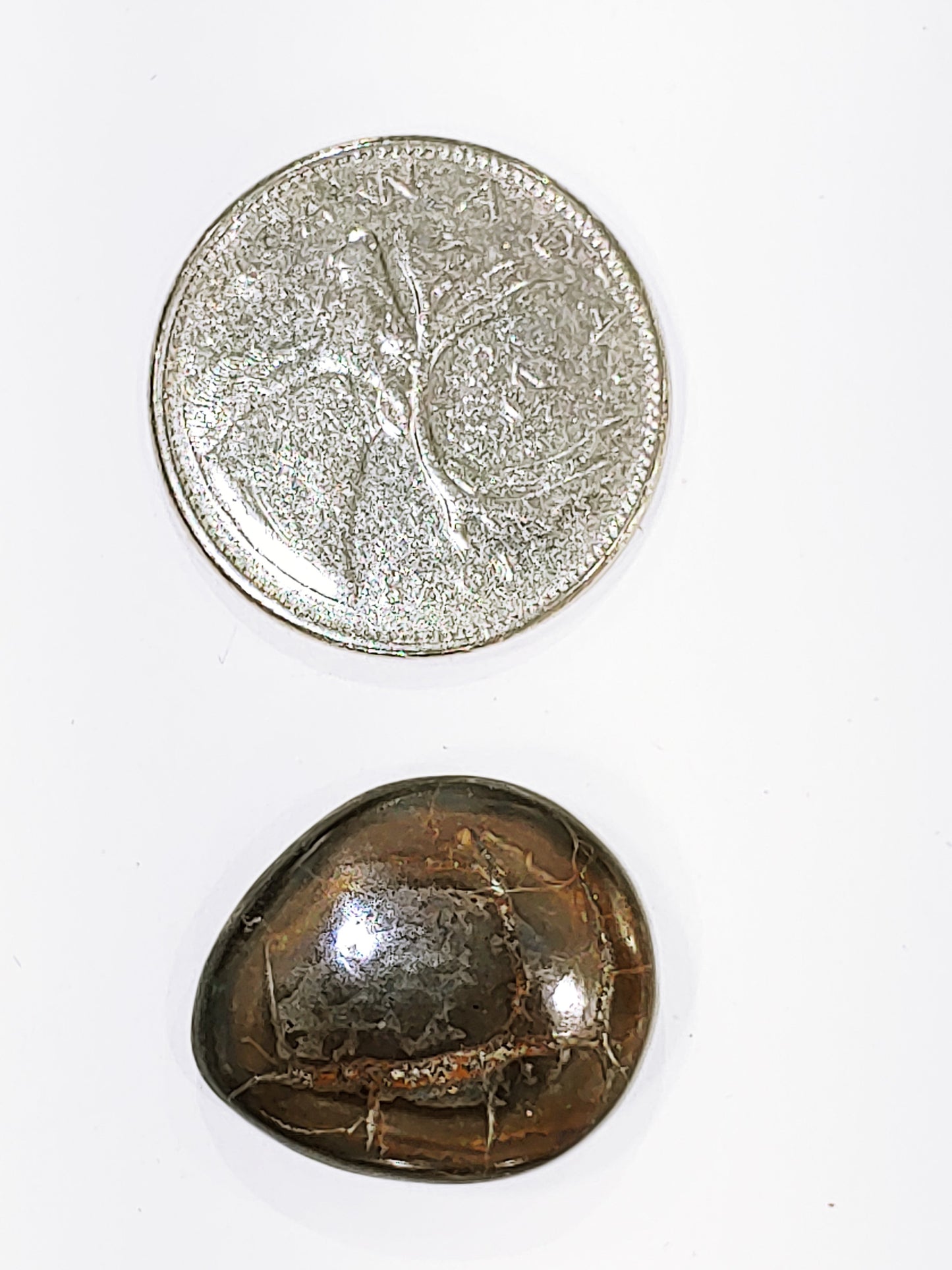 Septarian - Cabochon