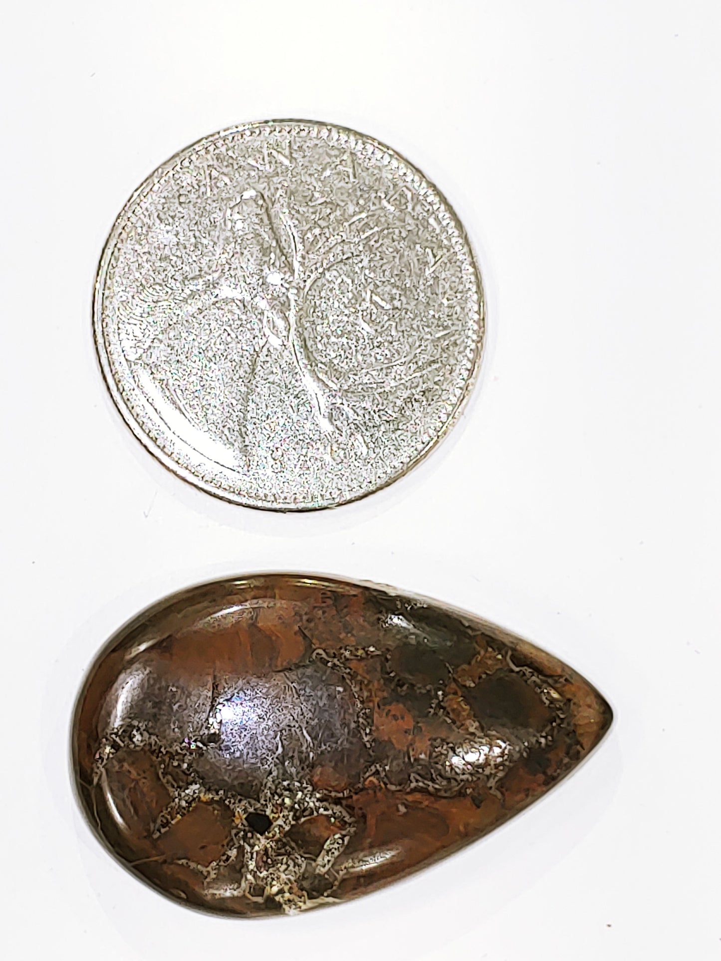 Septarian - Cabochon