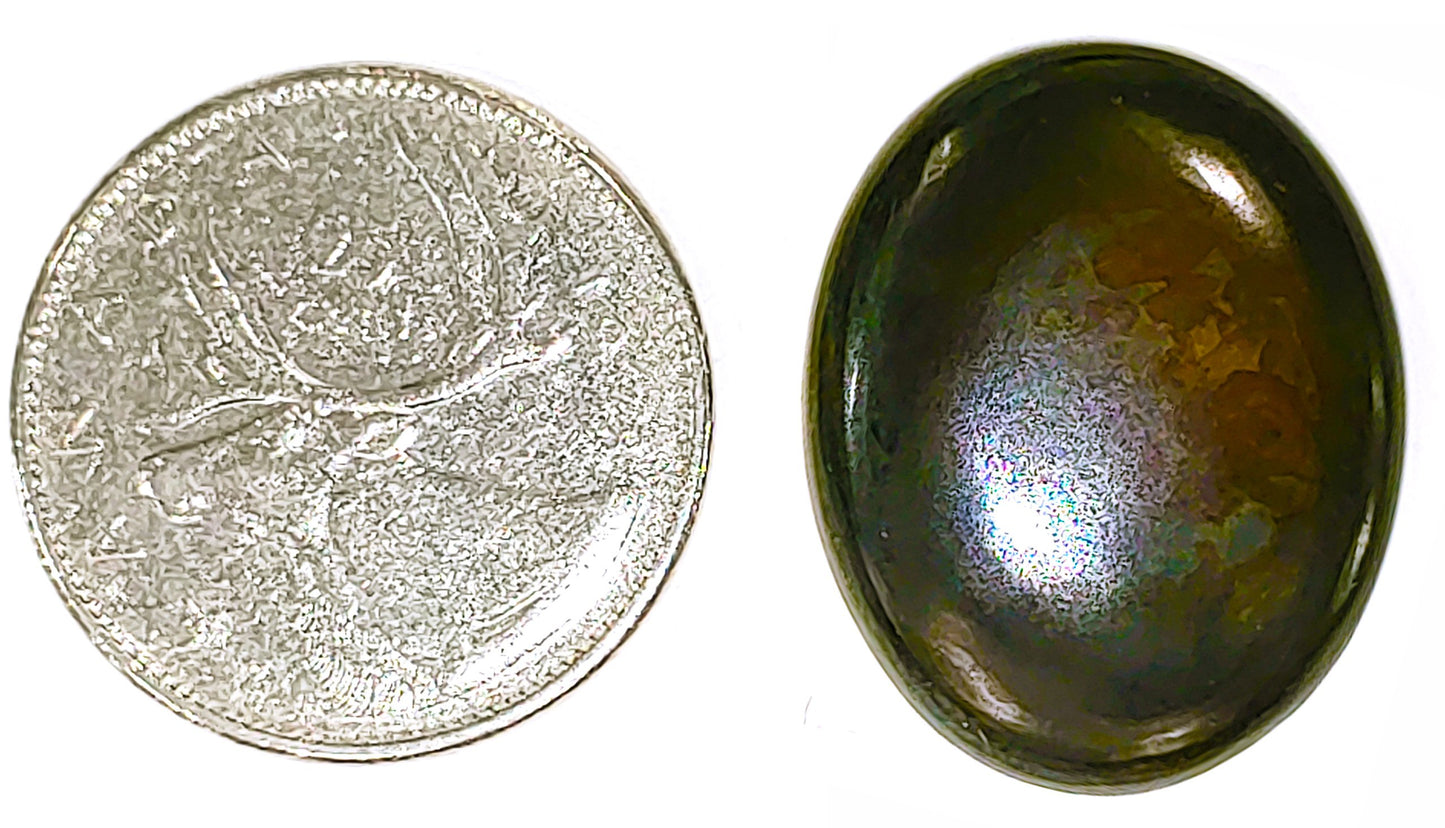 Septarian - Cabochon