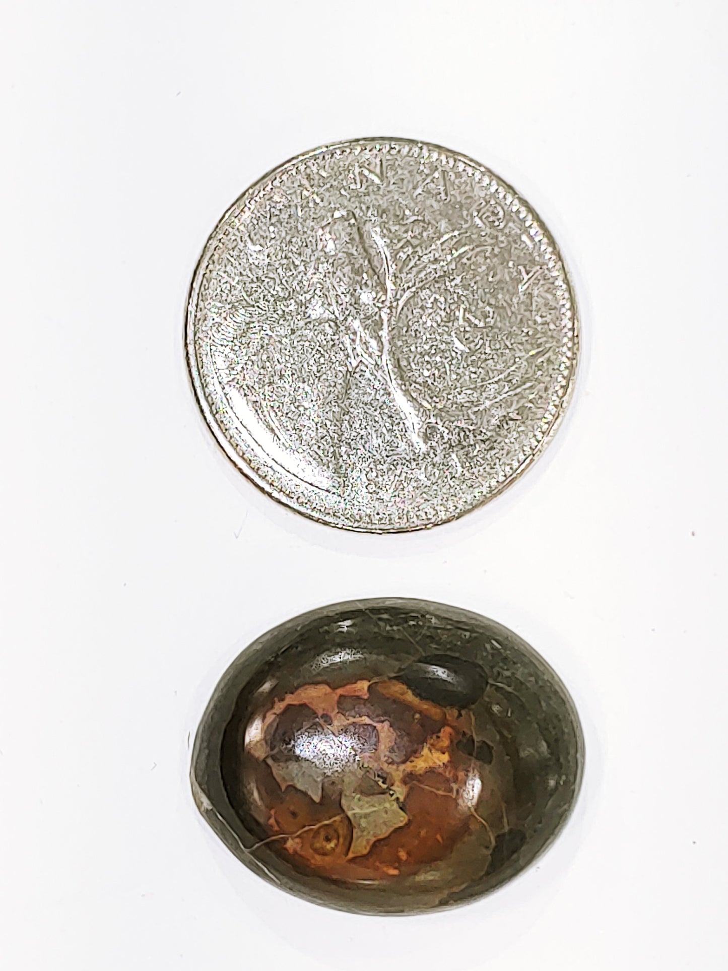 Septarian - Cabochon