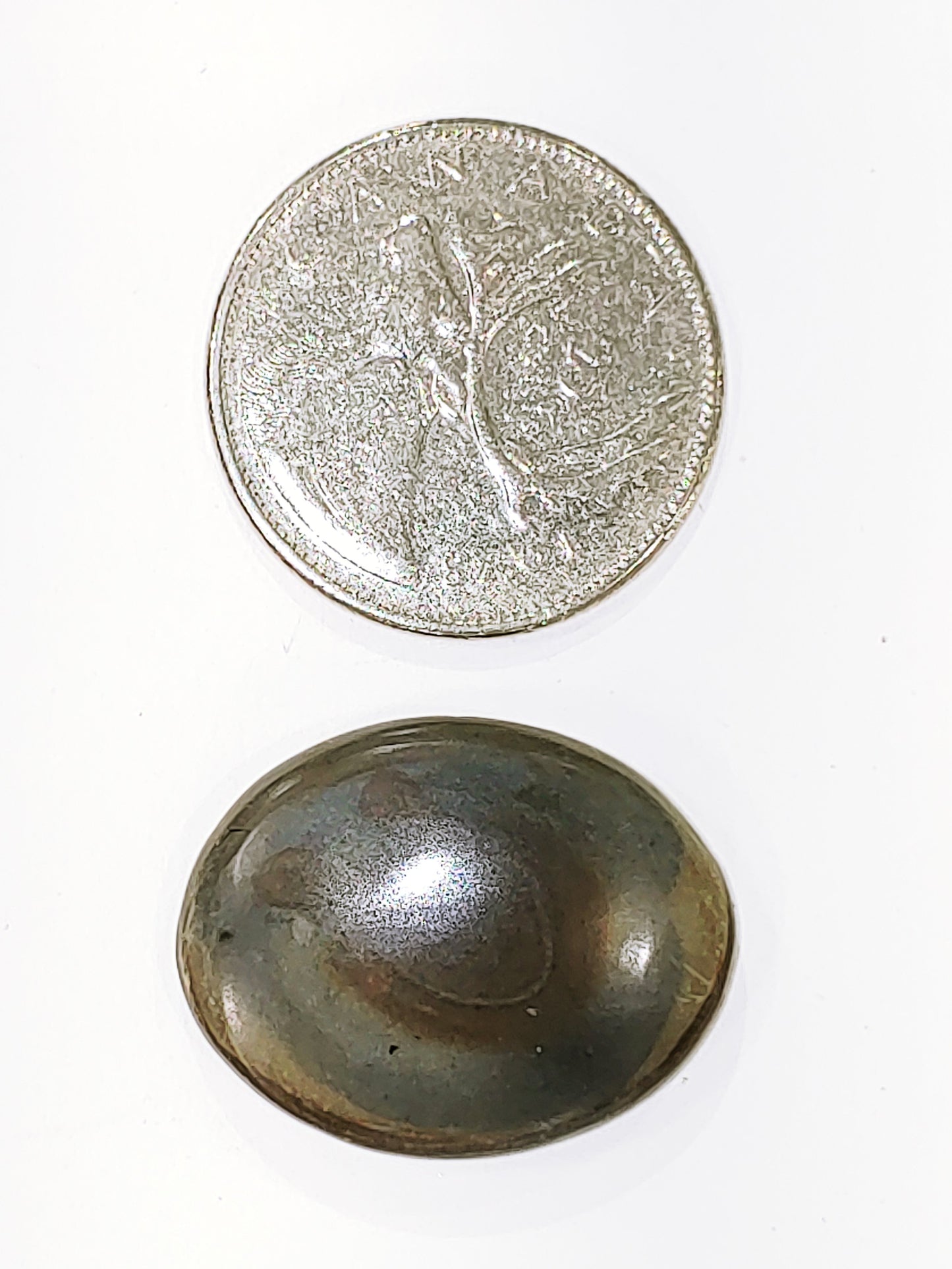 Septarian - Cabochon