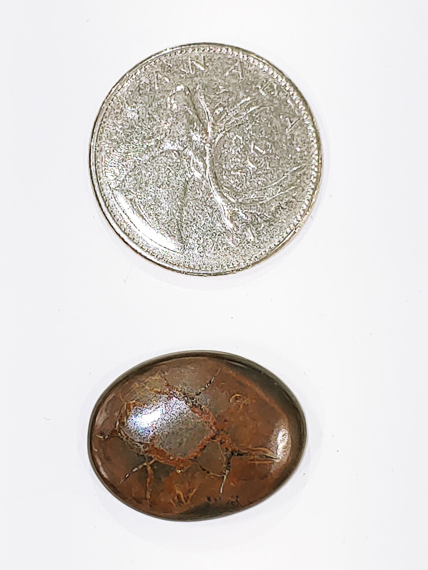 Septarian - Cabochon