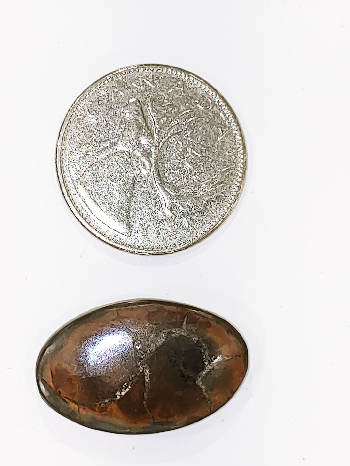 Septarian - Cabochon