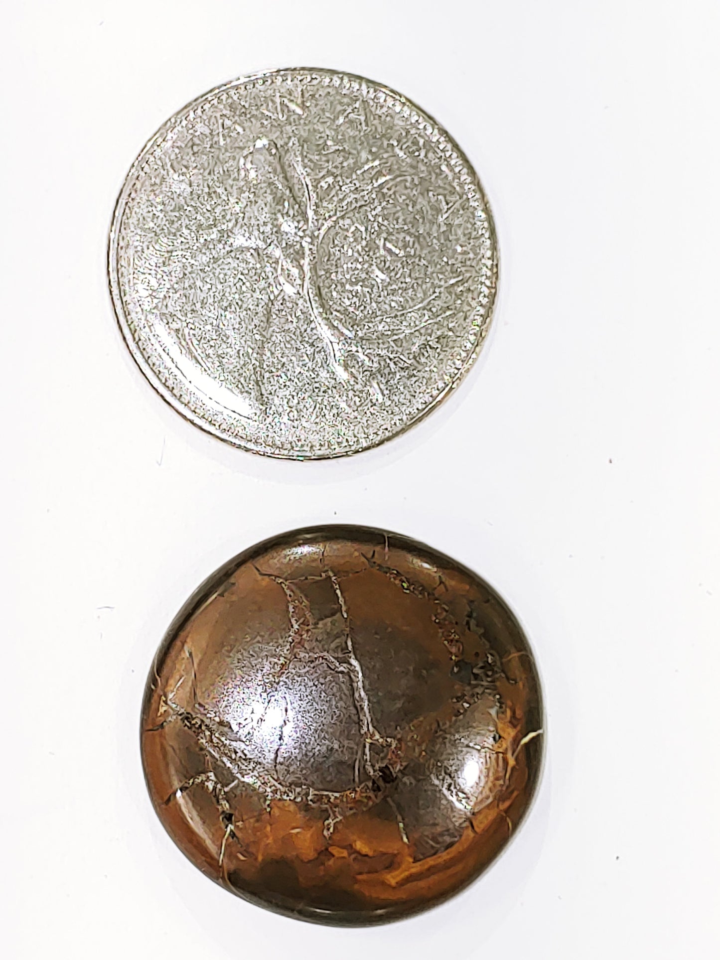 Septarian - Cabochon
