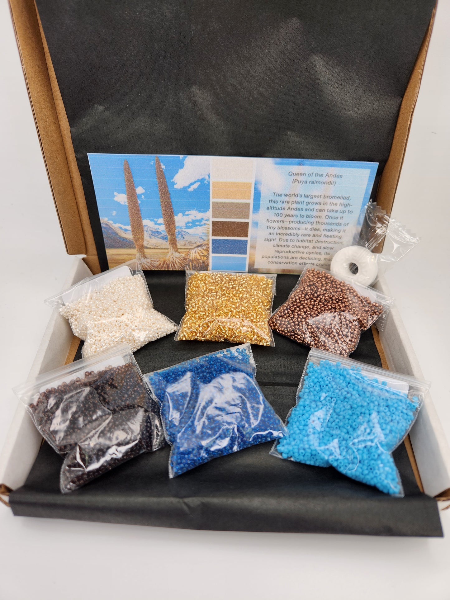 Miyuki Subscription Box - Pre-Order