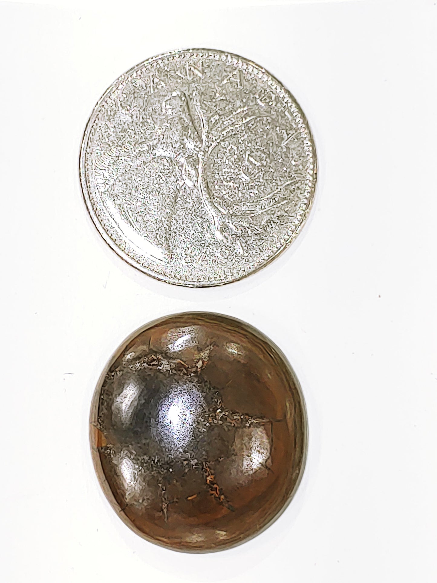 Cabochon, Septarian 1