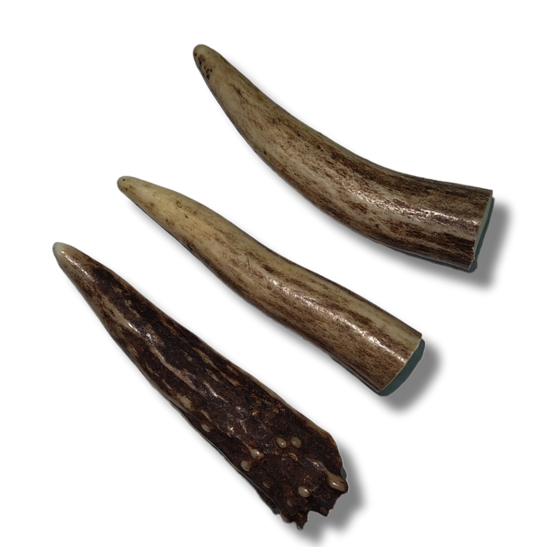 Antler - Tip