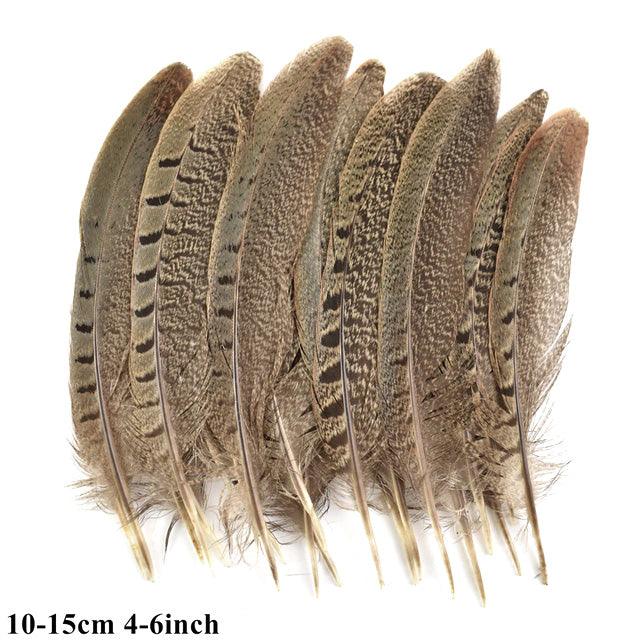 Feather, Various - Med, aprx 10 - PoCo Inspired