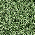 11-18556, Czech 22g Matte Metallic Seafoam Green Terra