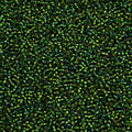 11-57129, Czech 22g Silver Lined Green Rainbow