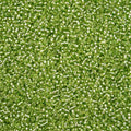 11-78654 Czech 22g Silver Lined Green SOLGEL