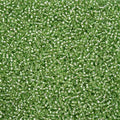 11-78661 Czech 22g Silver Lined Dark Green SOLGEL