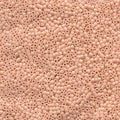 DB00-0206, Miyuki 5.2g Opaque Salmon