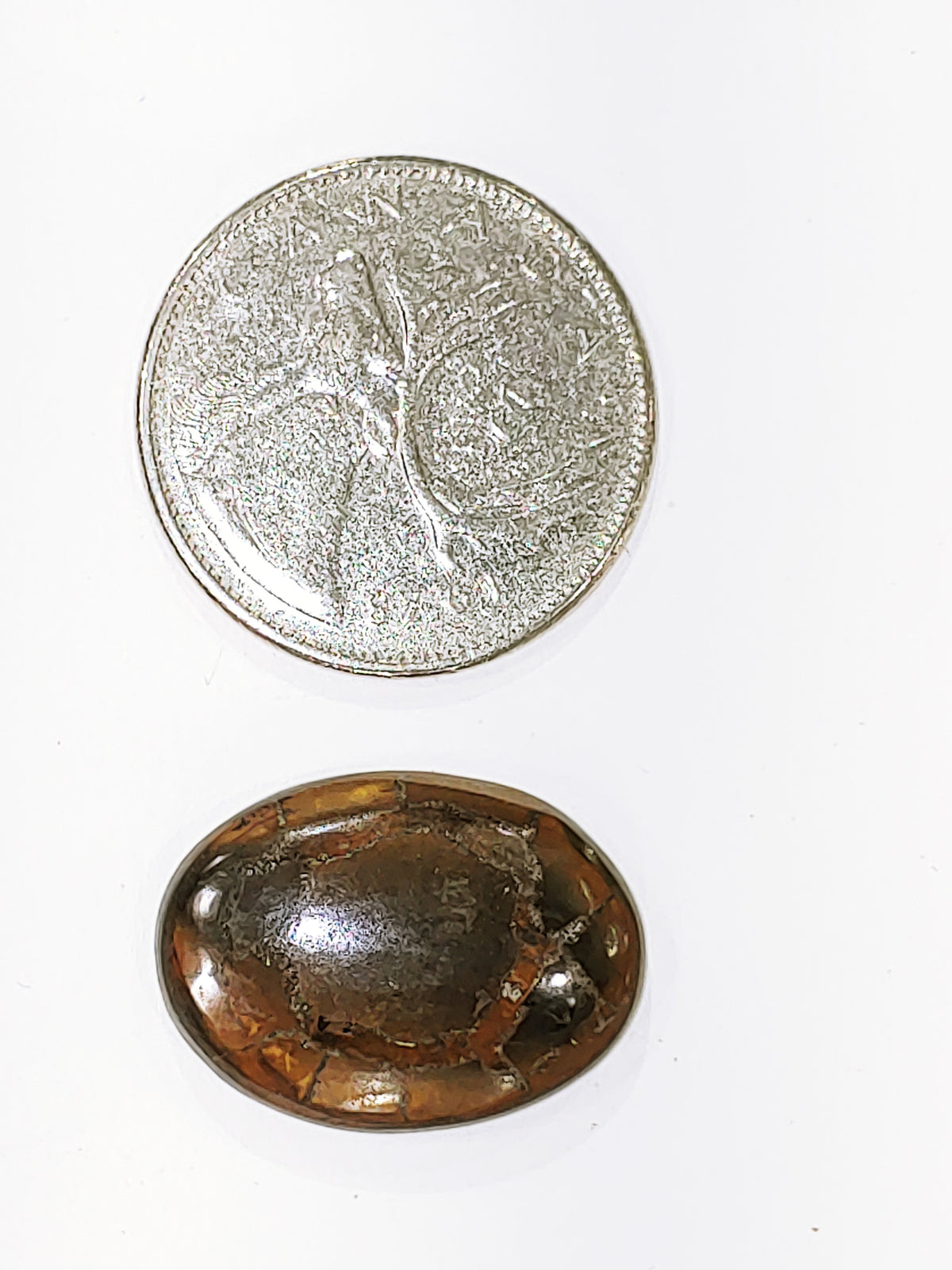 Septarian - Cabochon
