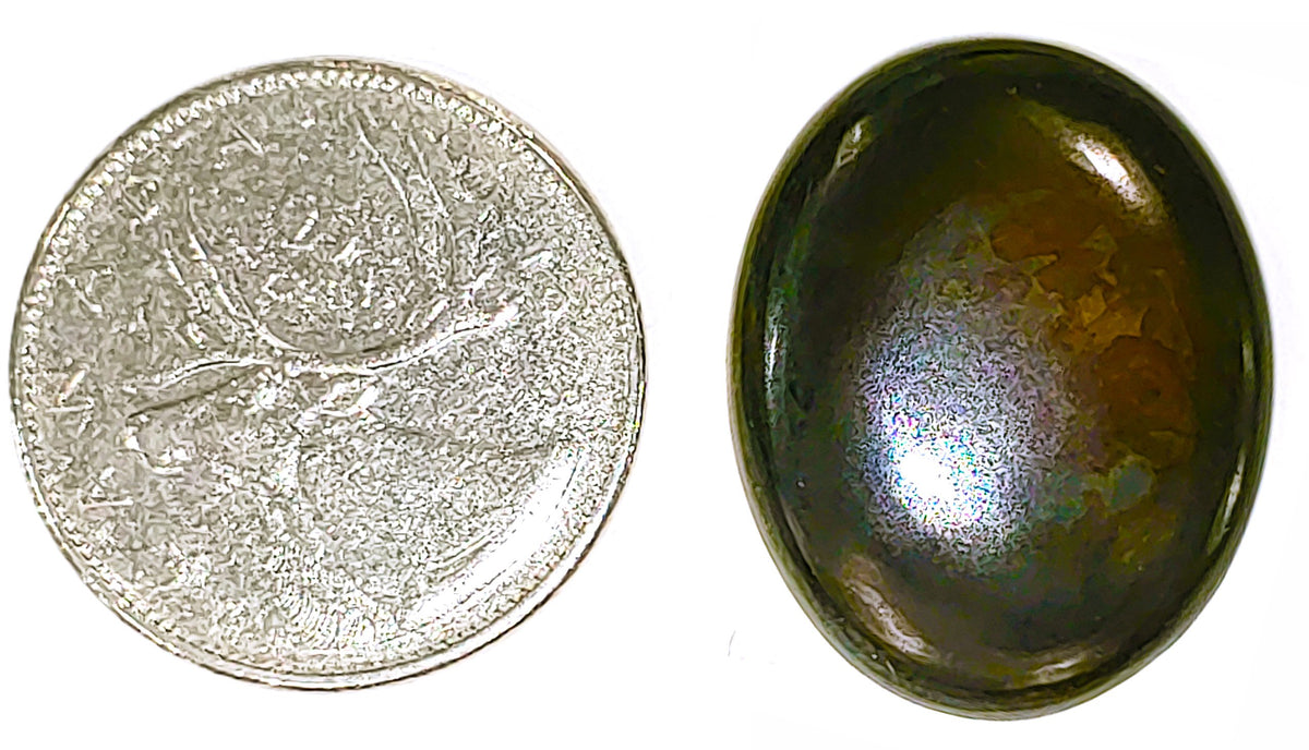 Septarian - Cabochon