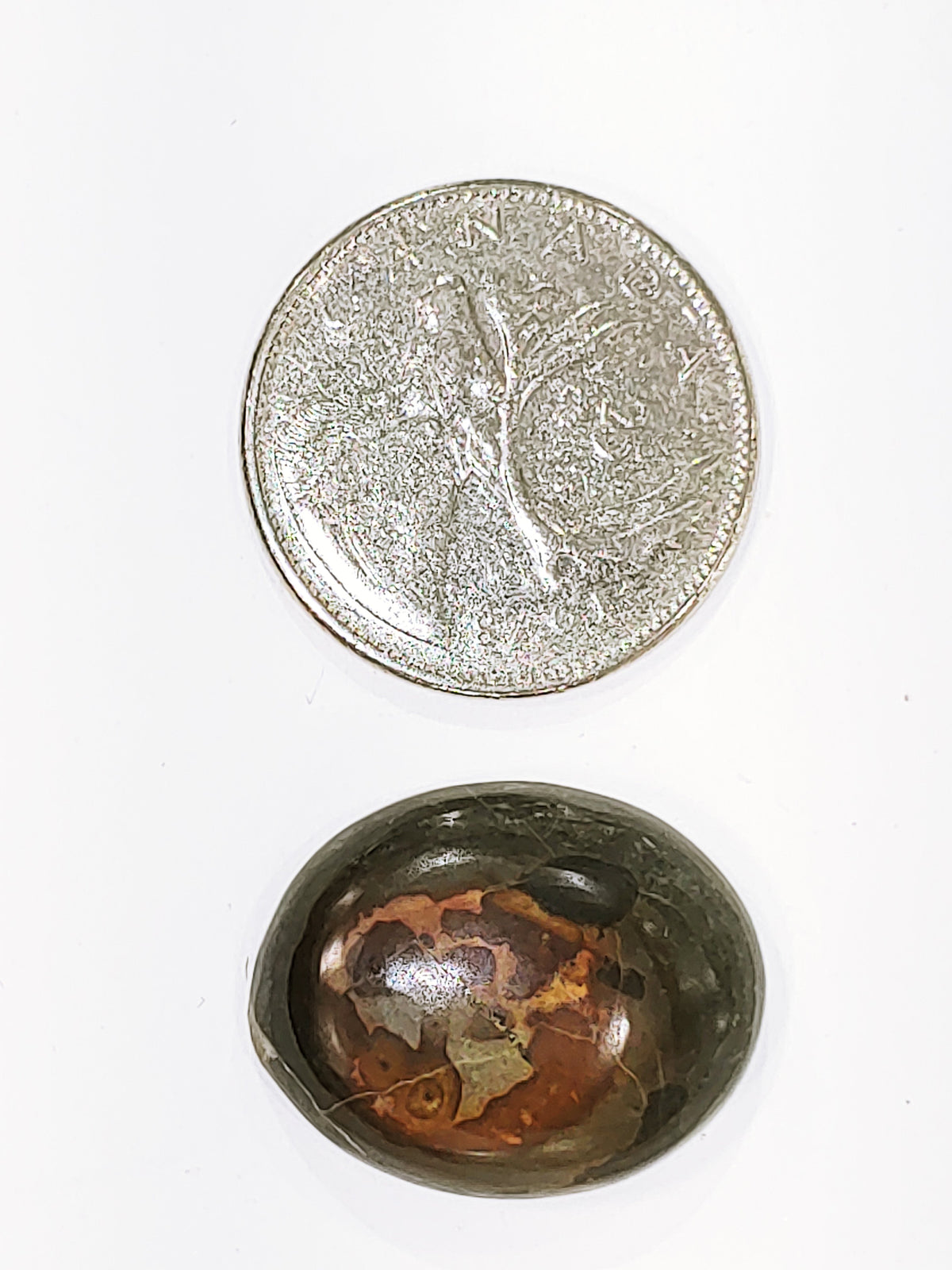 Septarian - Cabochon