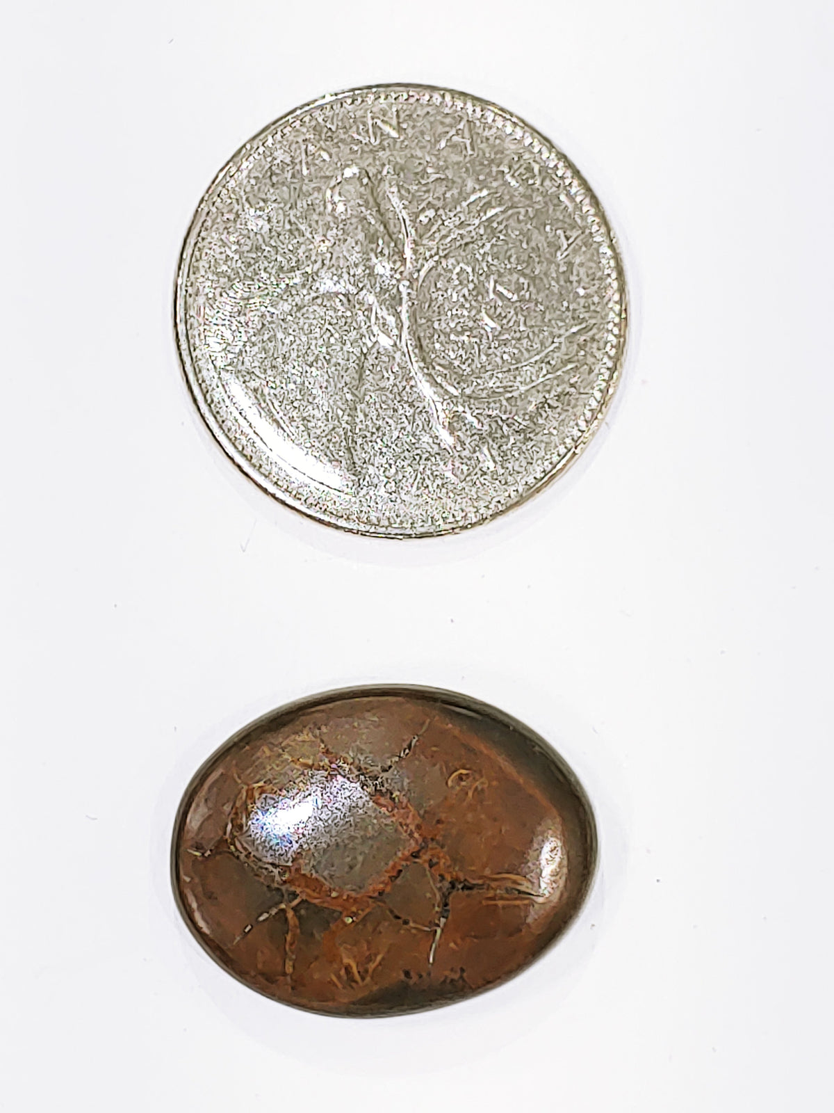 Septarian - Cabochon