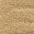 DB00-0205, Miyuki 5.2g Ceylon Beige - PoCo Inspired