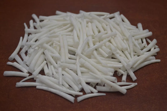 Dentalium, White