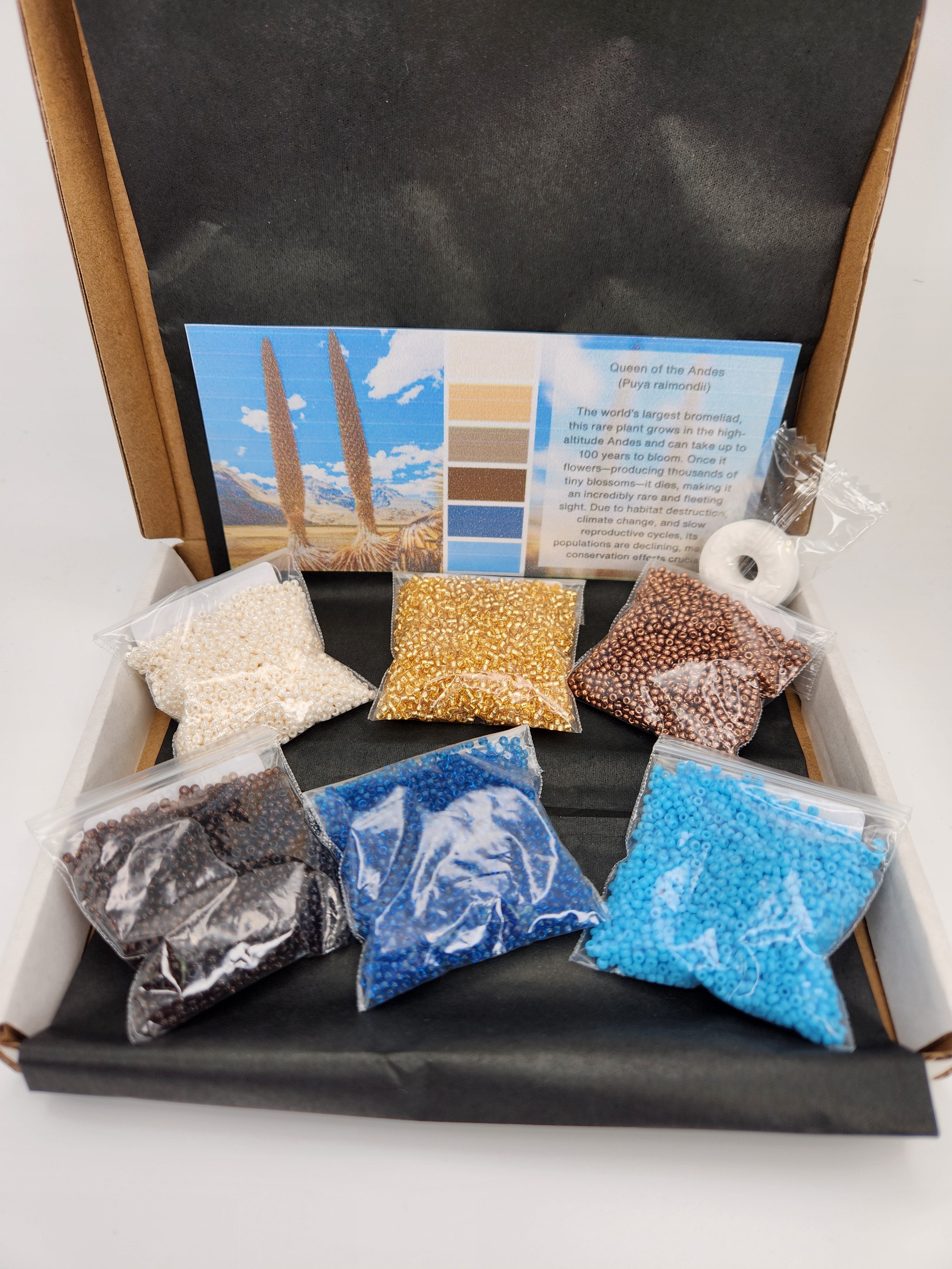 Miyuki Subscription Box