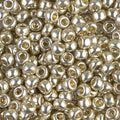6-4201, Miyuki 20g Duracoat Galvanized Silver