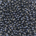11-4282, Miyuki 22g Duracoat S/l Indigo