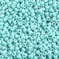 10-01016, Czech 22g Opaque Turquoise