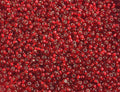 10-01308, Czech 22g Silver Lined Red