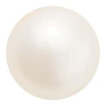 Pearl, Preciosa Maxima - Lt Cream Rose