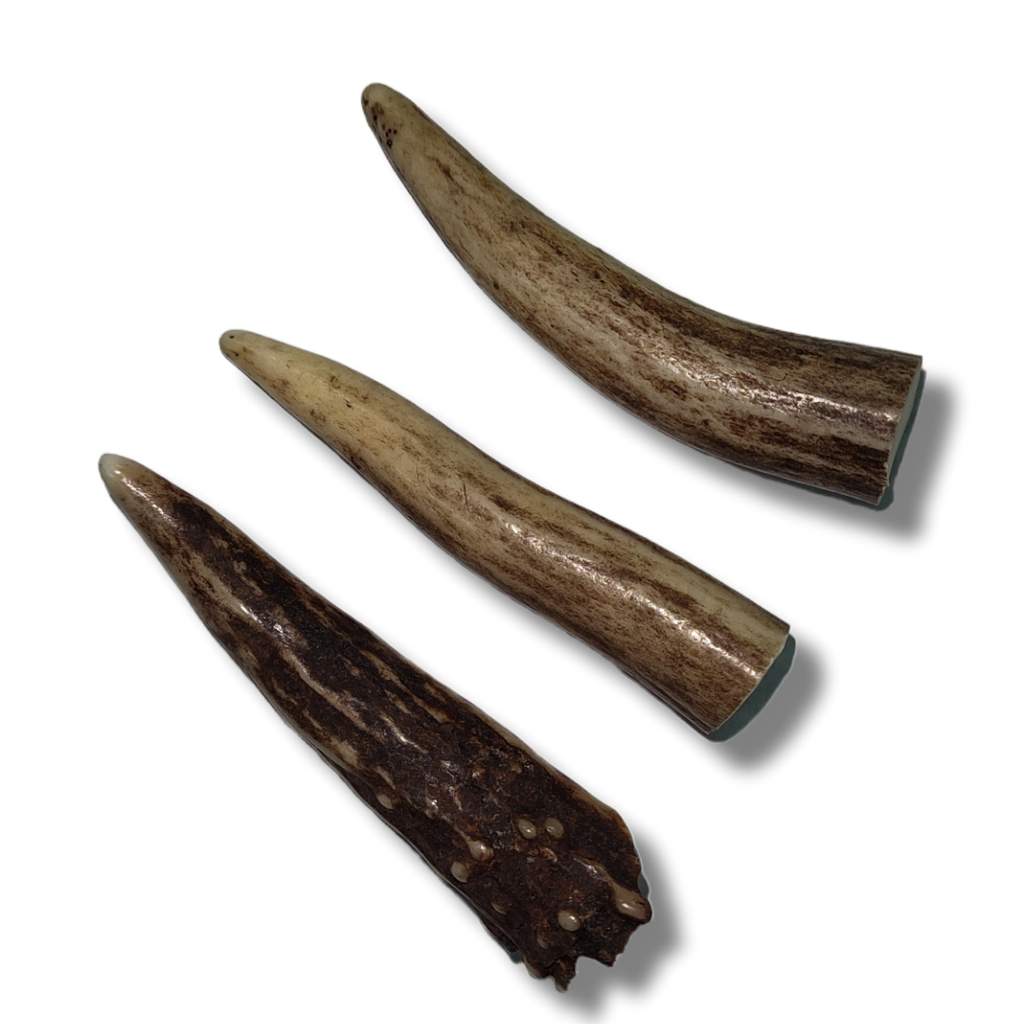 Antler - Tip