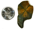 Chiastolite - Cabochon - PoCo Inspired