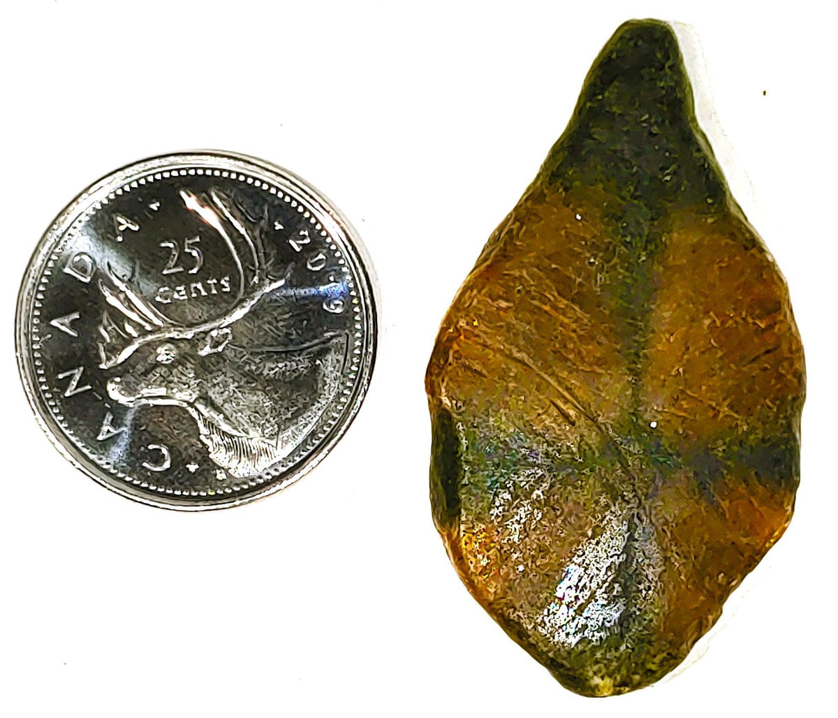 Chiastolite - Cabochon - PoCo Inspired