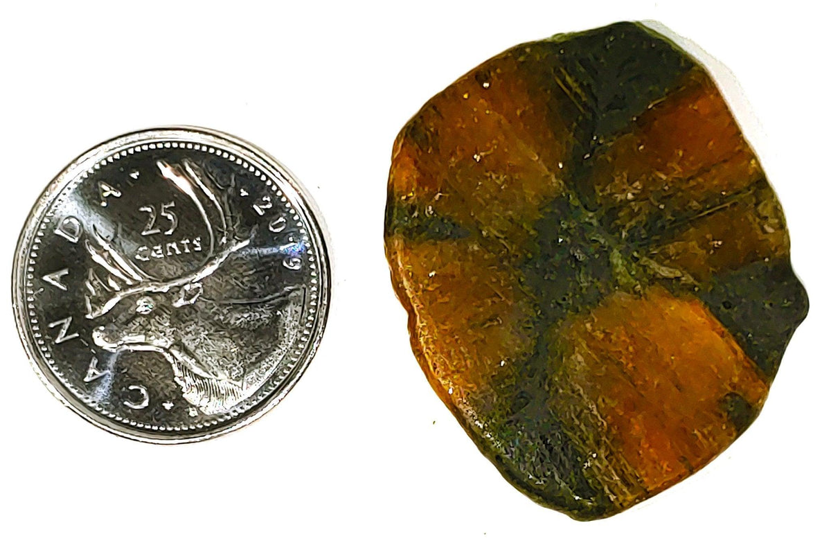 Chiastolite - Cabochon - PoCo Inspired