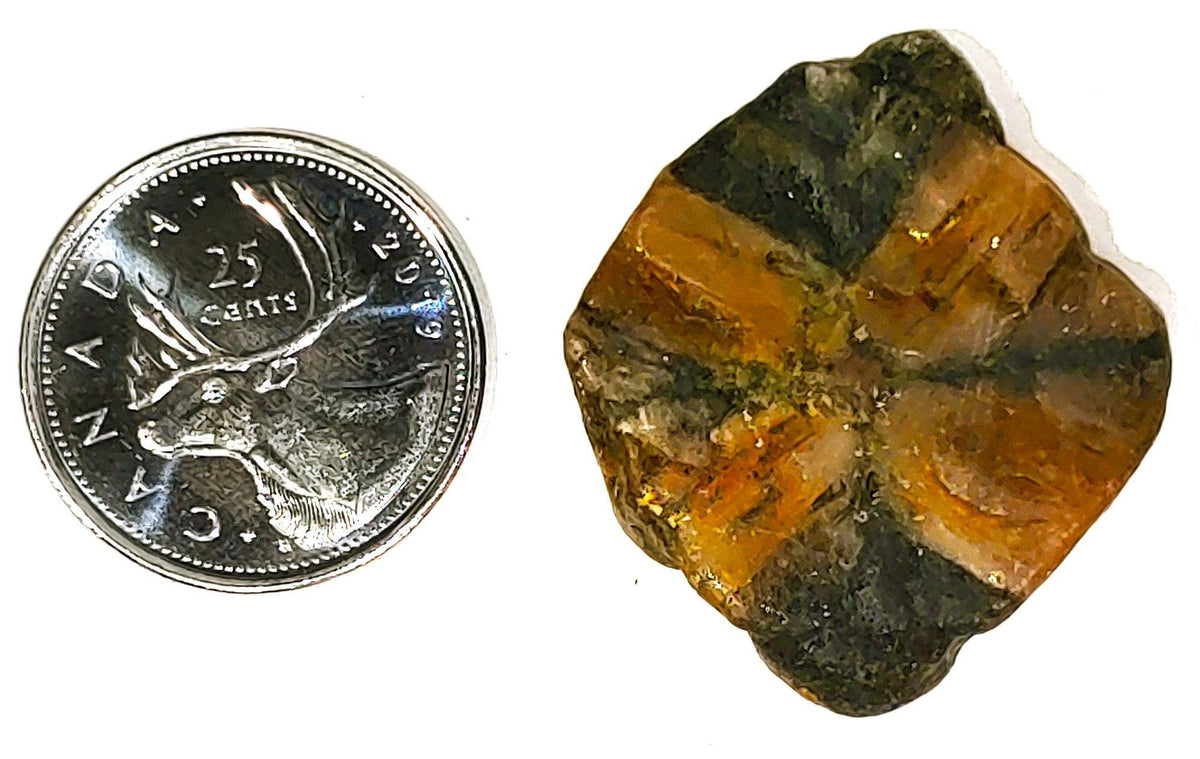 Chiastolite - Cabochon - PoCo Inspired