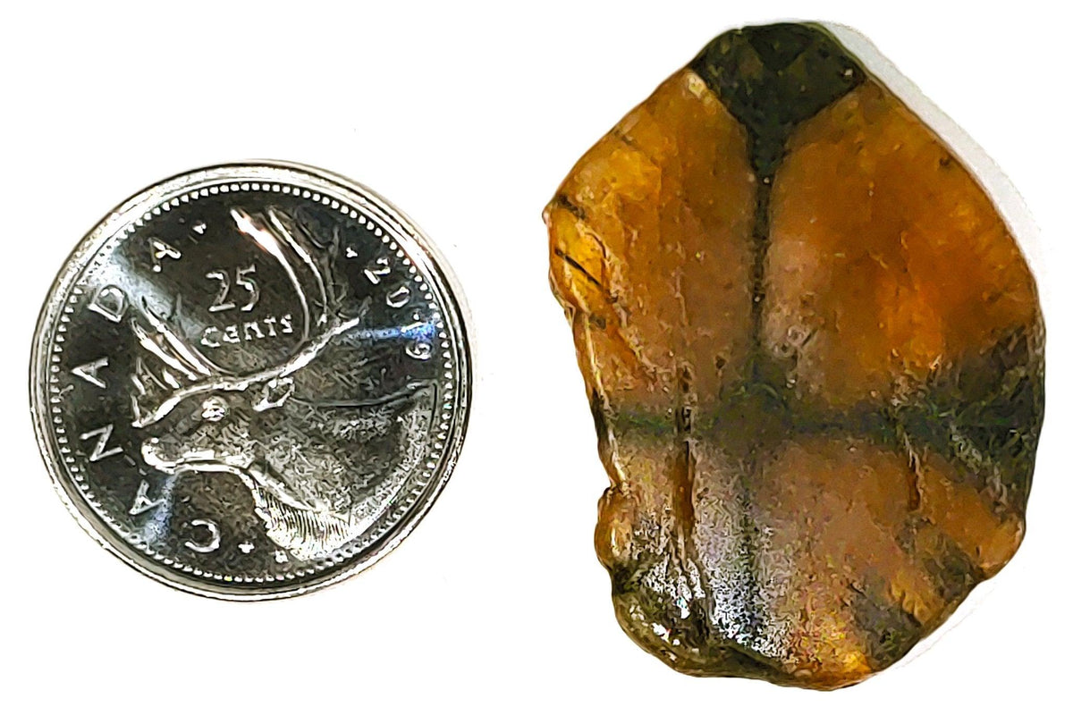 Chiastolite - Cabochon - PoCo Inspired
