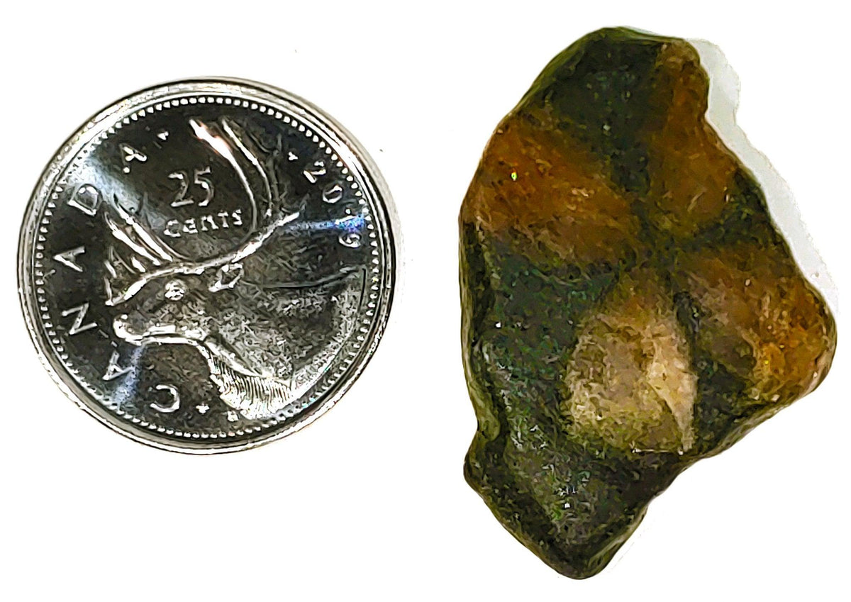 Chiastolite - Cabochon - PoCo Inspired