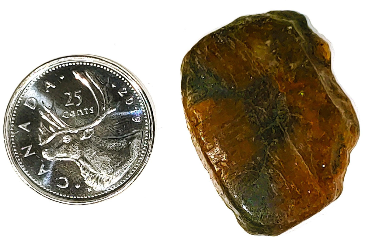 Chiastolite - Cabochon - PoCo Inspired