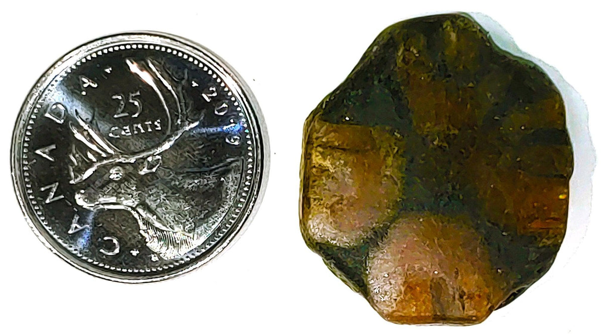 Chiastolite - Cabochon - PoCo Inspired
