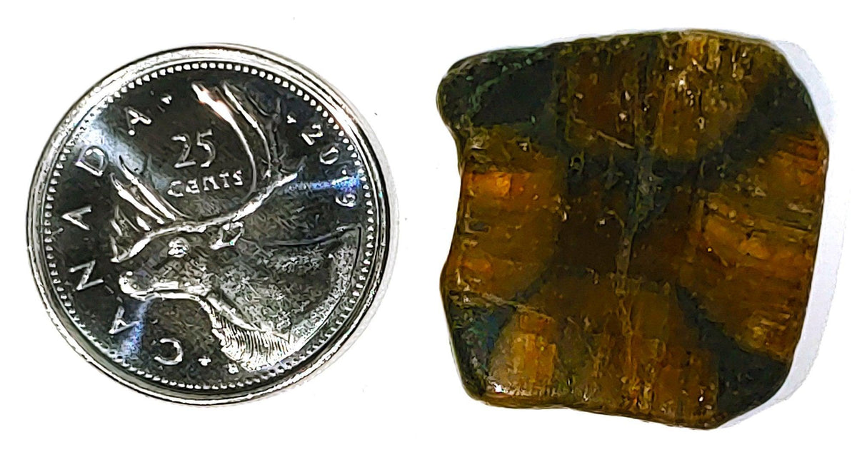 Chiastolite - Cabochon - PoCo Inspired