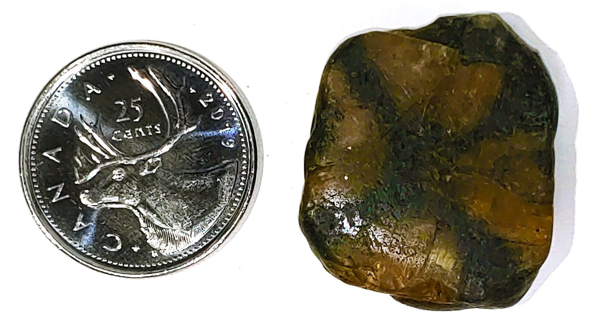 Chiastolite - Cabochon - PoCo Inspired