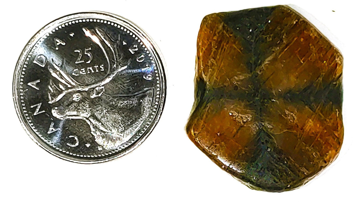 Chiastolite - Cabochon - PoCo Inspired