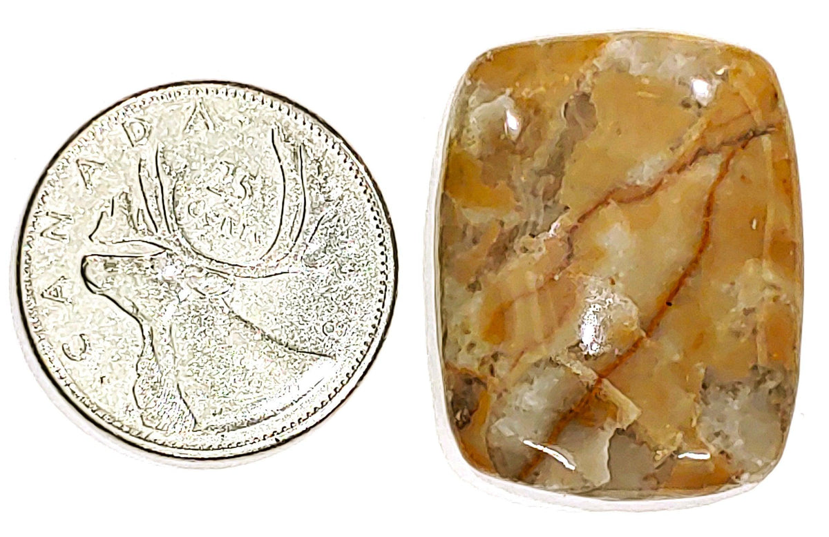 Coconite Jasper