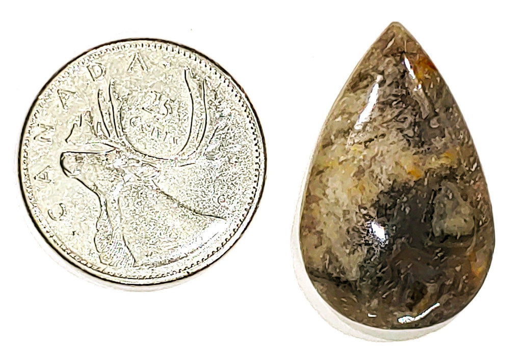 Coconite Jasper