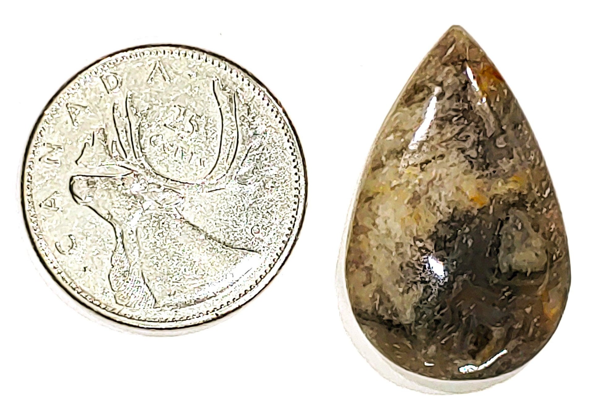 Coconite Jasper
