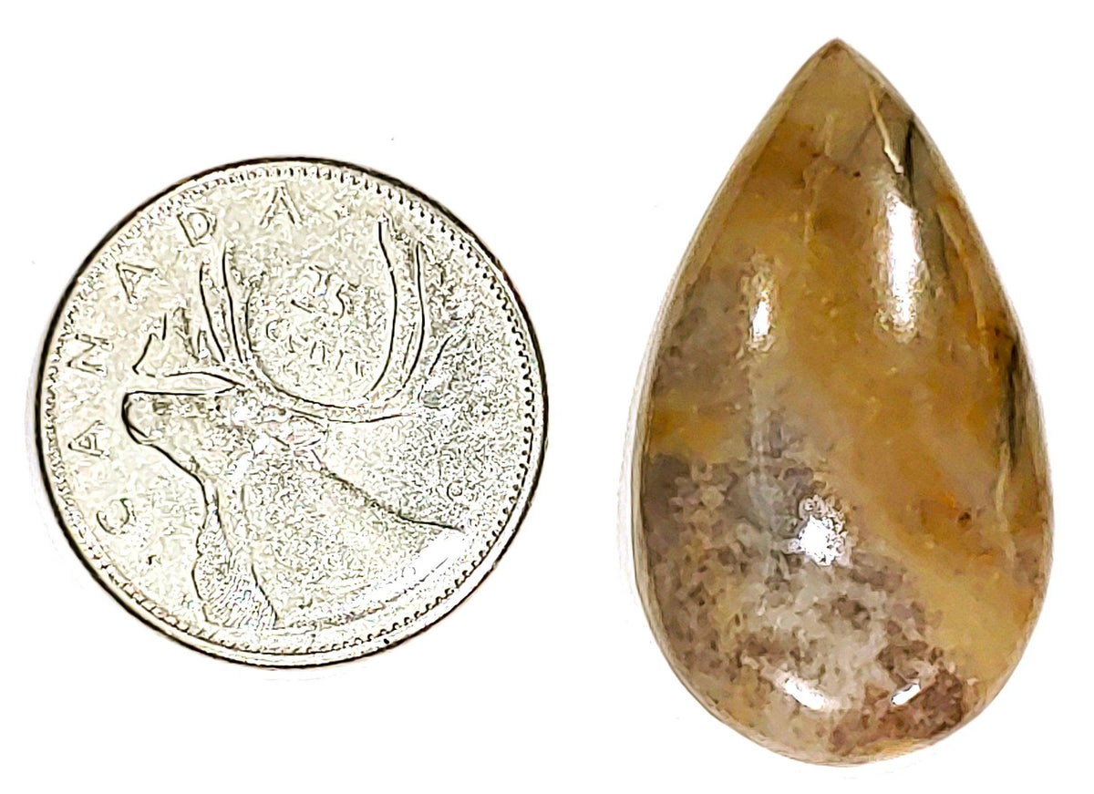 Coconite Jasper