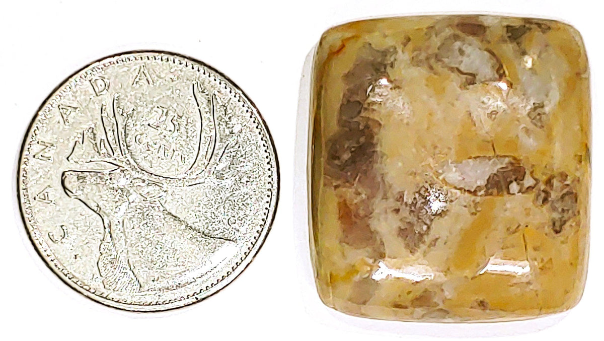 Coconite Jasper