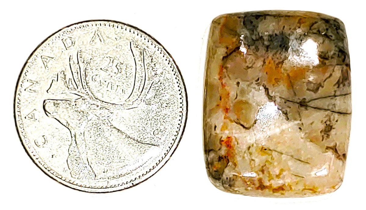 Coconite Jasper