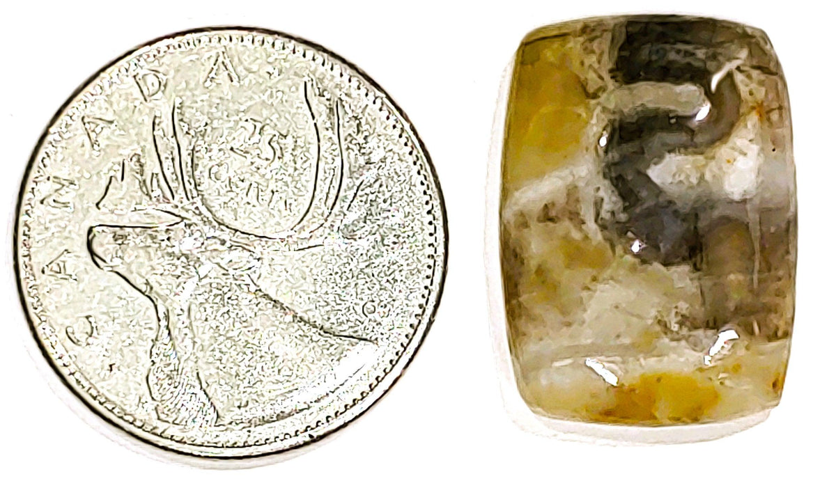 Coconite Jasper
