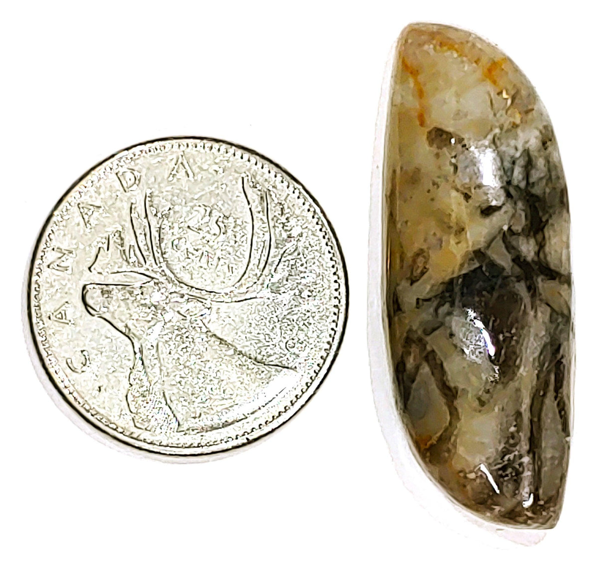 Coconite Jasper